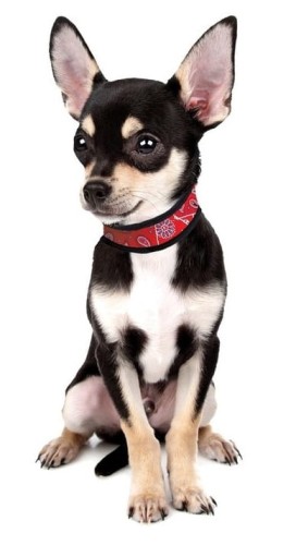 eb5a0a66618be0892bad4d75c6c64170