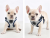 bezuciskowe szelki dla psa puppia mischief grey typ c
