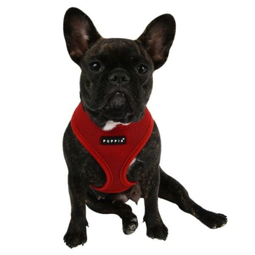 Bezuciskowe szelki dla psa i kota puppia soft red burgundy