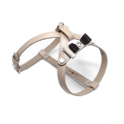 7098ab8365f9f91d56e1b3bbd43b2c05