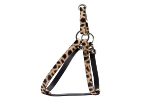 Luxury Dog Harness GoldBone Safari