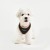 Bezuciskowe szelki dla psa i kota puppia soft black beige
