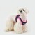 Bezuciskowe szelki kamizelka dla psa i kota puppia soft navy pink
