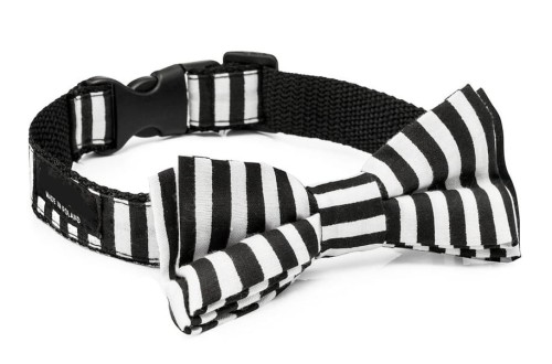 31ace8cf8415f7cdb1da54b1dfb1bbcf