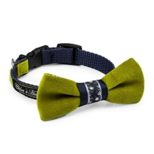 Elegant Bow Tie for Dog or Cat