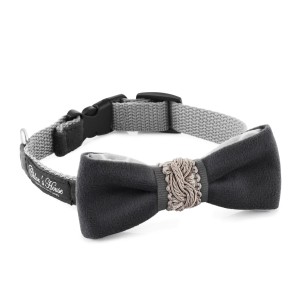 Elegant Bow Tie for Dog or Cat
