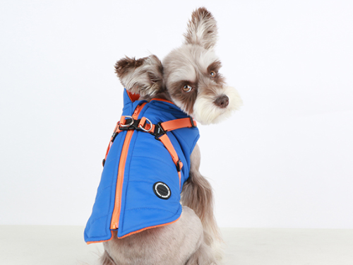 f03501b37a1666cd1be018672803261c