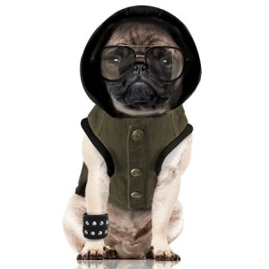 Dog Hoodie Backstage Mik&Pepper