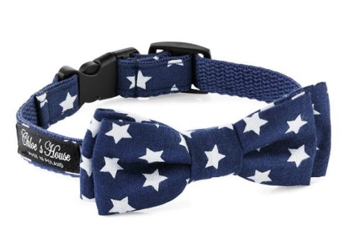 cc66cafa5a5e52887506681ab8addb31