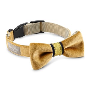 Elegant Bow Tie Magnifique