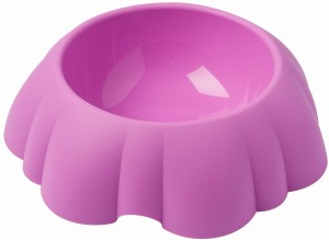 Food or water pet bowl Daisy