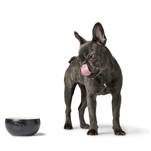 ceramiczna miska dla psa Lund black_dog.jpg