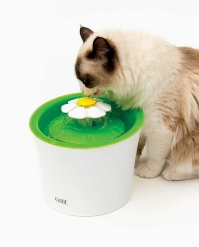 6fe4bb90cc064bcc1f0e8b6ae0f1f552