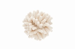 Soft chenille ball for kitten or puppy