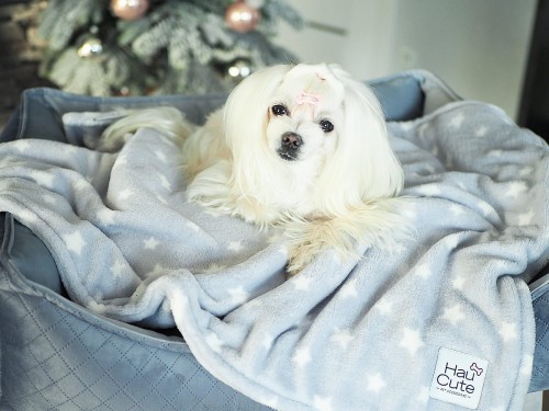 kocyk dla psa stars grey.jpg